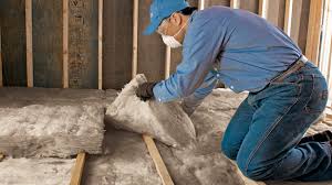 Best Insulation for New Construction  in Argyle, TX