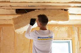 Best Insulation for Existing Homes  in Argyle, TX